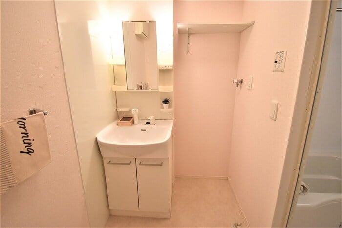 洗髪洗面化粧台・室内洗濯機置場 シャレーム田園