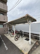  マリベールＹＵＭＥ