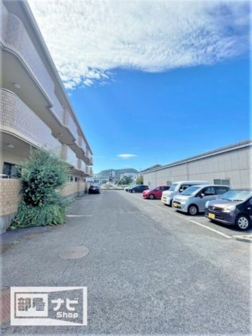  グレースハタオカ