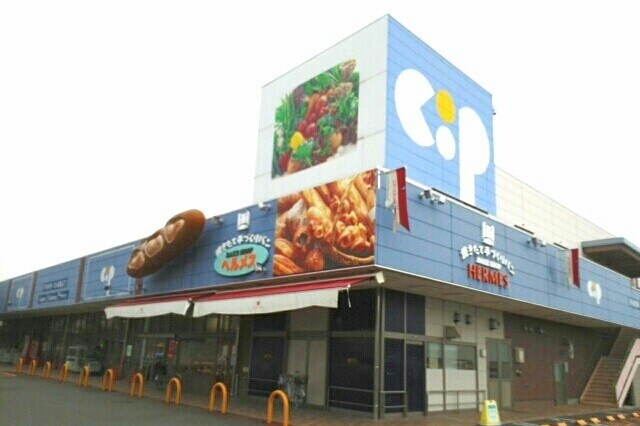 その他 エルディム川善