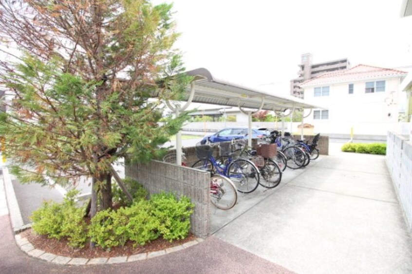 駐輪場 Ｔ’ｓスクエア D棟