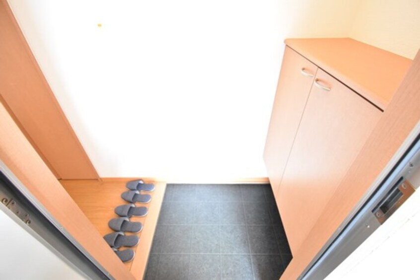 玄関 アネシスハイツ Ⅰ号館