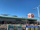 コメリハード＆グリーン見能林店(電気量販店/ホームセンター)まで1559m プリマベーラＡ・Ｂ