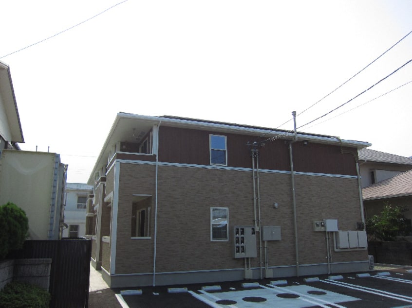  グリーンシトラス