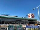 コメリハード＆グリーン見能林店(電気量販店/ホームセンター)まで709m サニースクエア阿南