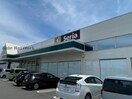 Seriaデイリーマート羽ノ浦店(ディスカウントショップ)まで1962m ライトブレスＣ・Ｄ