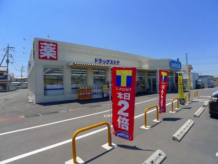 ｳｴﾙｼｱ太田鳥山店(ドラッグストア)まで260m サンハイツ・ヒラノ