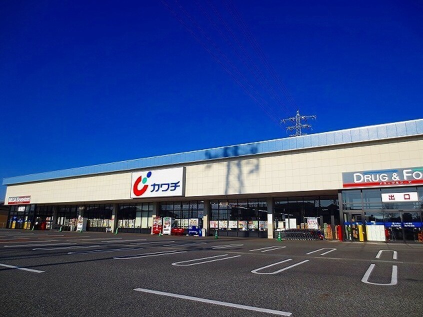 ｶﾜﾁ薬品 足利西店(ドラッグストア)まで1238m グリシーヌ