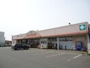 シバタ薬品薮塚店まで580ｍ サンヴィレッジ　II