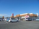 とりせん東矢島店まで838ｍ エバーエデンＣ