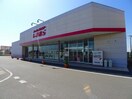 しまむら 下田島店まで500m リュミエールＢ