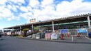 ビバホーム藪塚店まで1520m サンフラワー　Ｂ