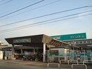 カインズホーム太田店（ホームセンター）まで1，129ｍ メルヴェーユ