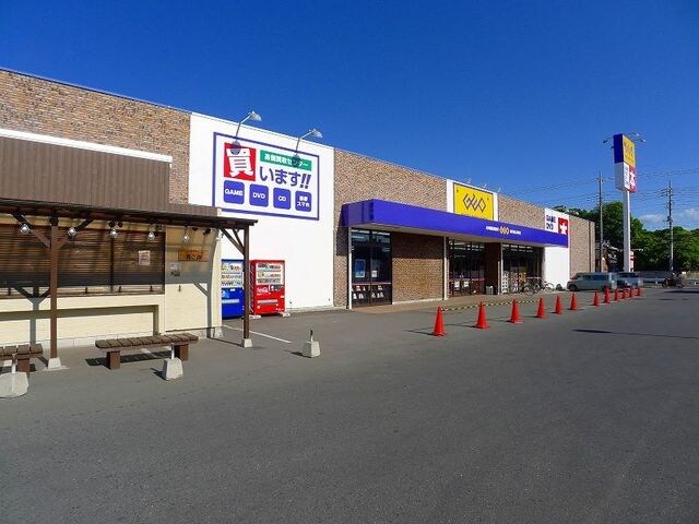 ゲオ内ヶ島店まで1100m プリマベーラＡ