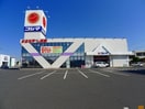 コジマ（太田店）まで950m ブライト　フューチャー