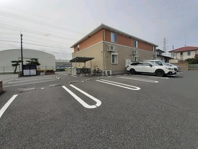  ハナミヅキ　Ｂ