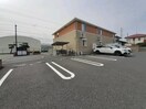  ハナミヅキ　Ｂ