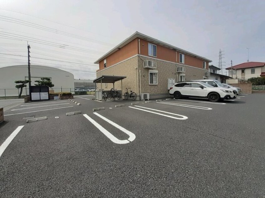  ハナミヅキ　Ｂ