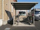  ハナミヅキ　Ｂ