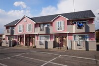 ドリームキムラ