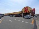 ﾍﾞﾙｸ 竜舞店(スーパー)まで303m ノーヴァＢ