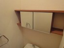 トイレ収納 ルミエール