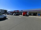 ﾃﾞｨｽｶｳﾝﾄｽﾄｱ 太田由良店(スーパー)まで1587m カーサ・トレビ