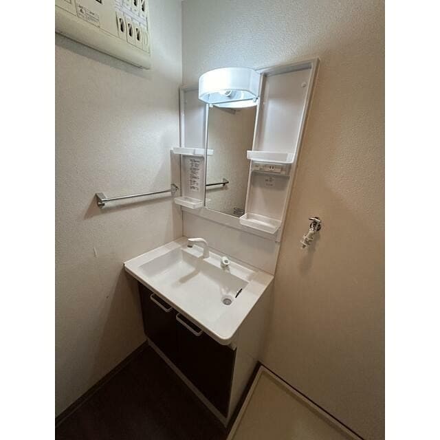  プルメリア