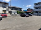  プルメリア