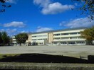 南小学校まで500m グレースコートＣ