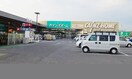 カインズホームまで1000m グレースコートＣ