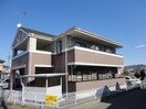  クレマチス