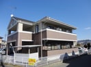 クレマチスの外観