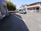  クレマチス
