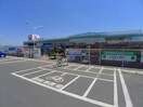 コメリ 城西の杜店まで750m テ・ルサーマ　Ｄ