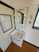 洗面台 ミユキプレイス大泉城之内