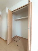  ピュア　チェリー