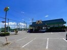 山田うどん尾島店まで750m ピュア　チェリー