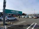カインズまで1100m パームテラス　Ｂ