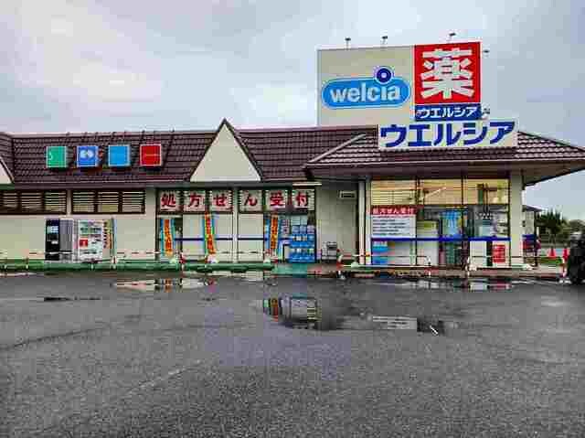 ウエルシア太田石原店まで390m ル・グラン太田　II