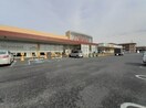 とりせん 太田八幡町店まで1700m リラクスィング　プレイス