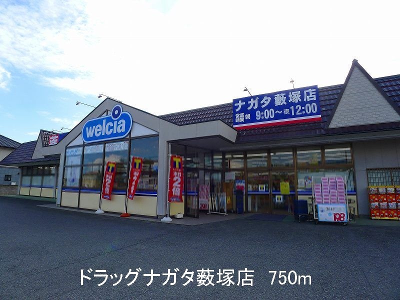 ドラッグナガタ薮塚店まで750m パルテノンＢ