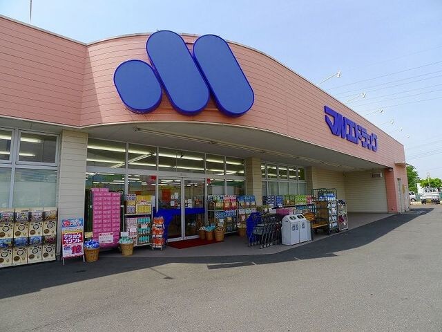 マルエドラッグ内ヶ島店まで450m エルディム田野