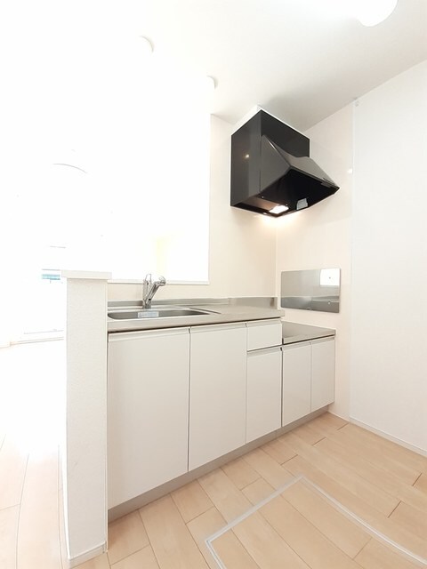  カメリア・フォーリスト