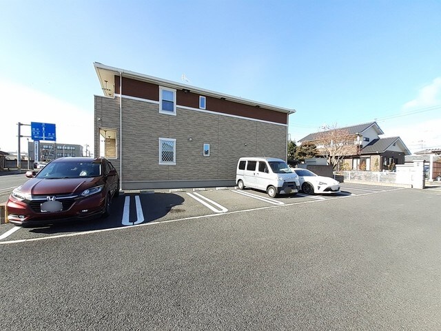  カメリア・フォーリスト