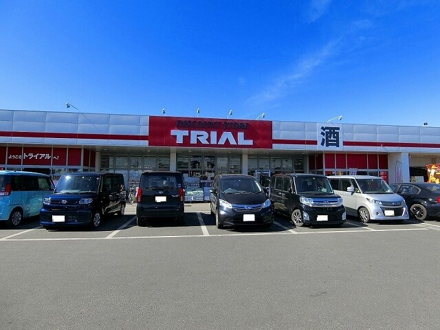 トライアルまで635m カメリア・フォーリスト