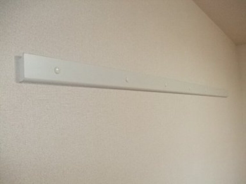 ハンガーモール レジオン・ドヌール