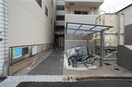  伸輝