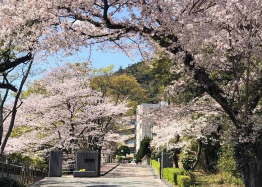 高等学校/高等専門学校まで1000m※姫路市立琴丘高等学校 プロニティハウス