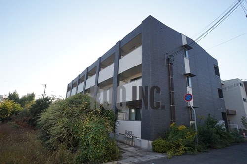  エクレシオ正木